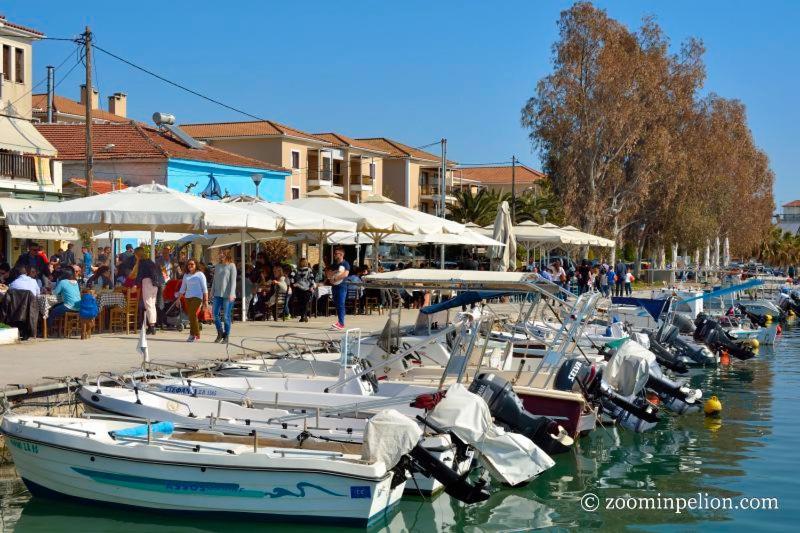 Elvira'S Houses Agria Dış mekan fotoğraf